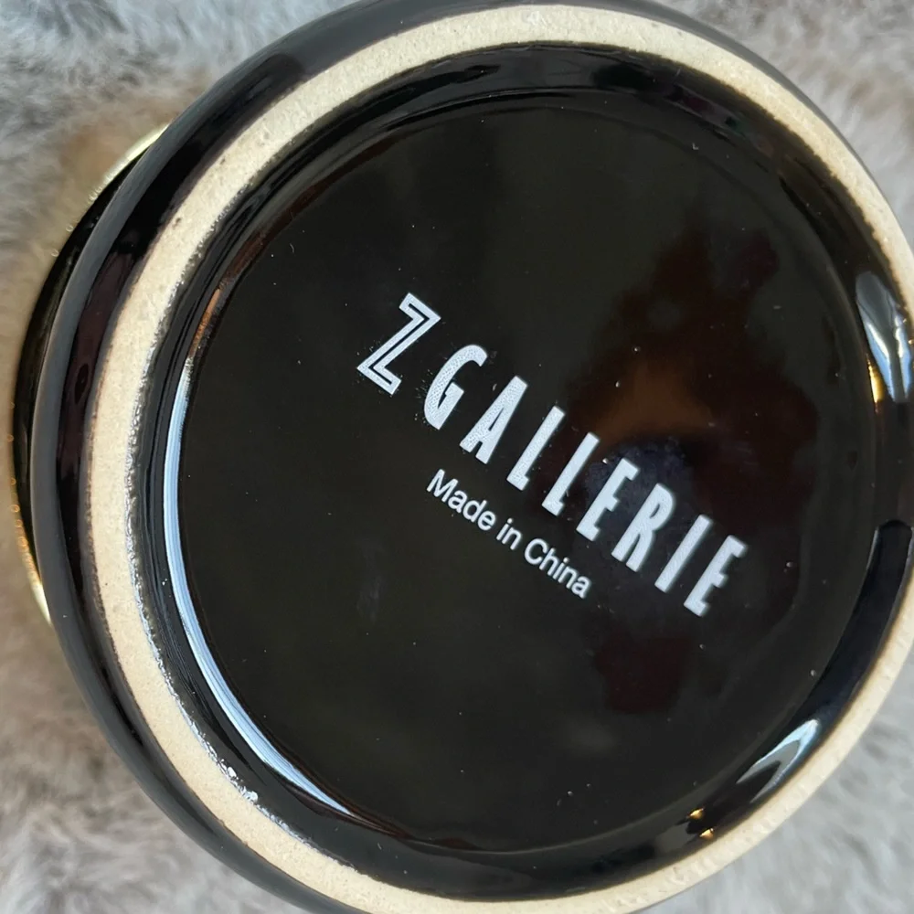 Z Gallerie multiuse storage duo